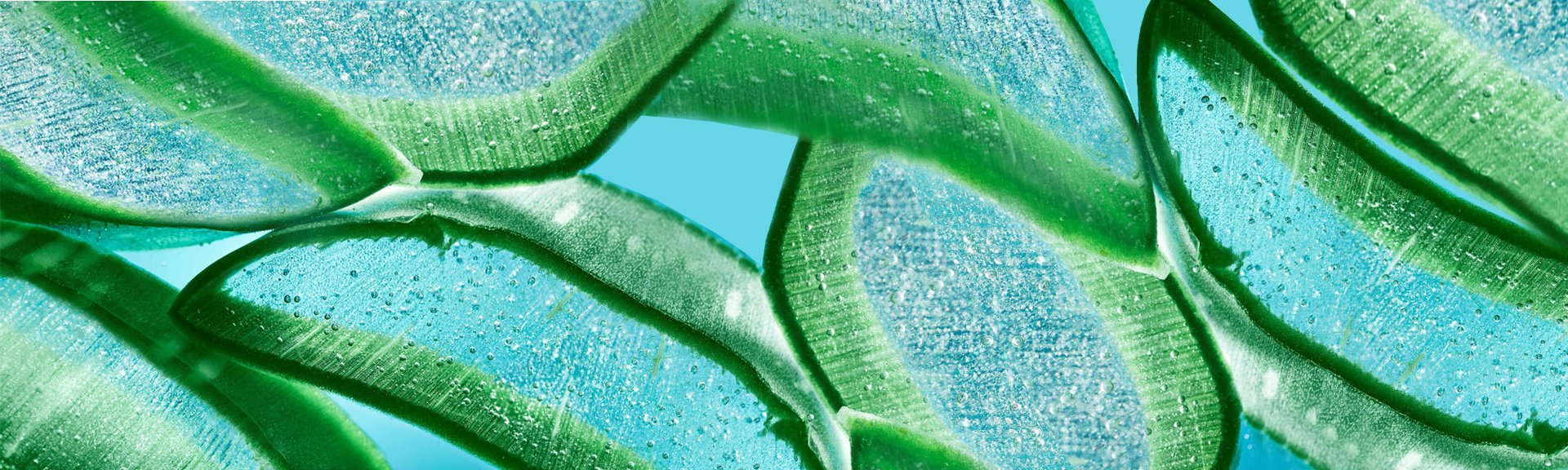 Duygu Ozaslan Makale Banner